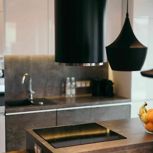 Deluxe One-Bedroom Apartment